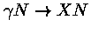 $\gamma N \rightarrow X N$