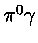 $\pi ^0\gamma $