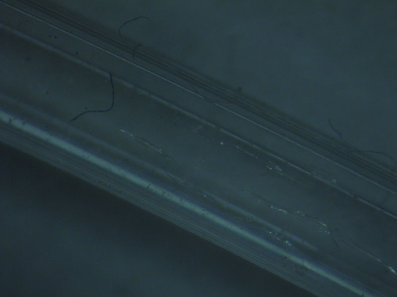 File:1greendirty 14.JPG